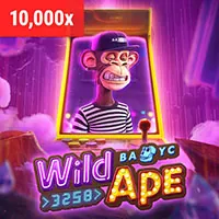Bàn chơi Sic Bo và Dragon Tiger tại VNBET77 WIN