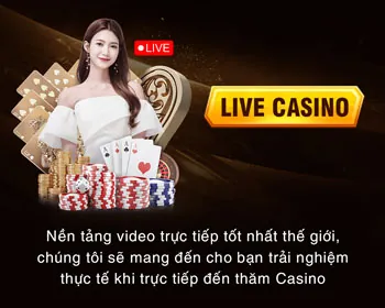 Cấp độ VIP Bạch Kim vnbet77 win