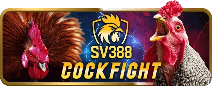 Dự đoán thể thao vnbet77 win