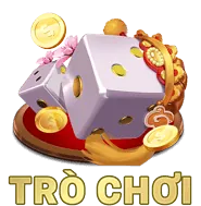 Giấy phép và Quy định