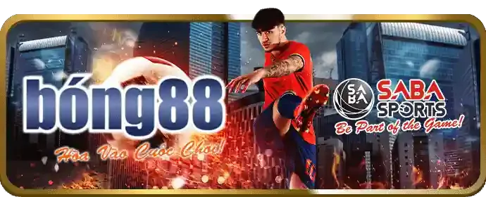 Thị trường cá cược Việt Nam vnbet77 win