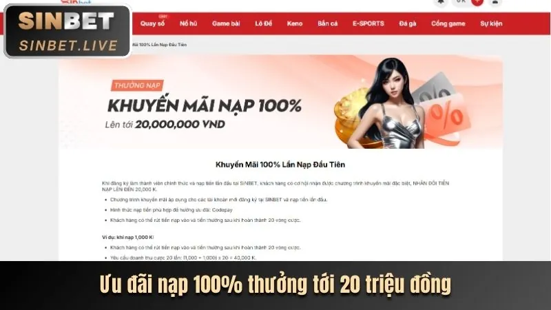 Hình ảnh hoàn trả hàng ngày cho cá cược thể thao vnbet77 win
